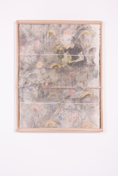 http://eliseperoi.com/files/gimgs/th-46_BOTANIQUE_ELISE_PEROI_thomas jean henri-0305 - copie.jpg